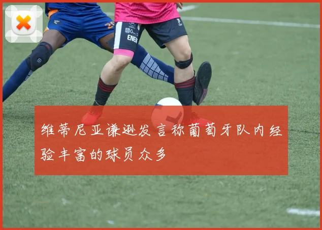 维蒂尼亚谦逊发言称葡萄牙队内经验丰富的球员众多